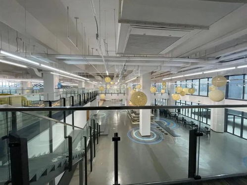 老廠房變美術(shù)館 騰籠換鳥 松江新橋讓文創(chuàng)與科創(chuàng)相互賦能